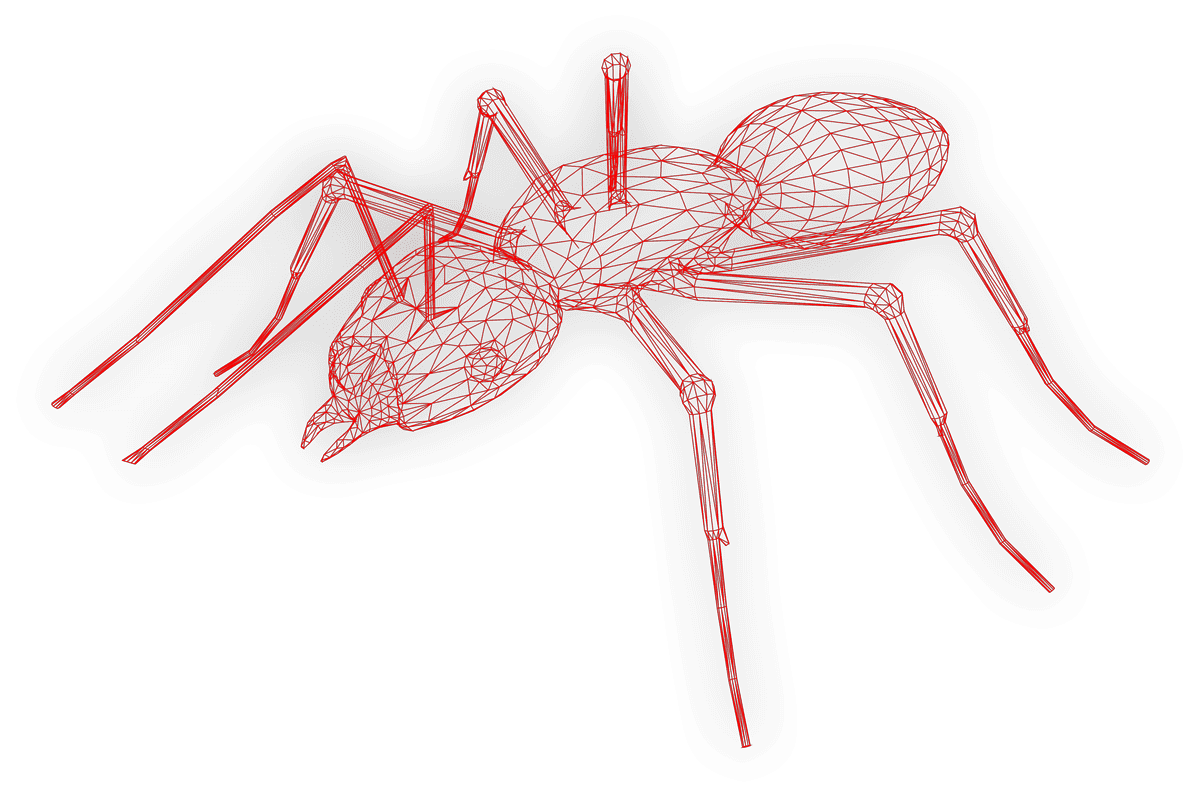 Ant-wireframe