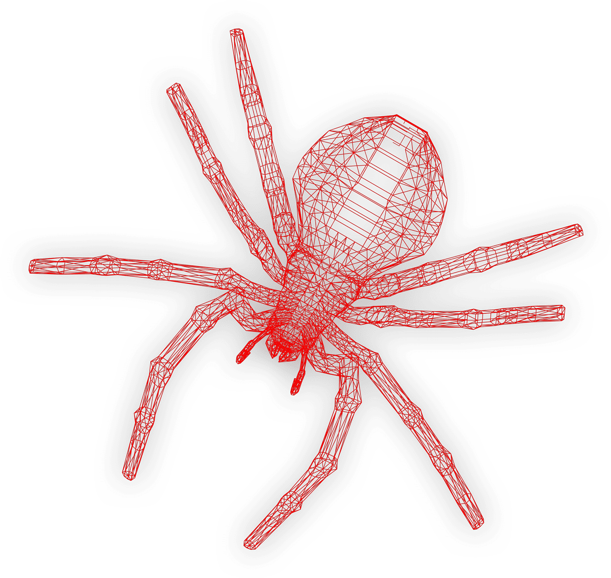 Spider-wireframe